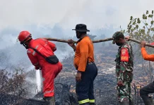 Banyuasin Dikepung Karhutla, Lima Hektare Lahan Gambut Terbakar