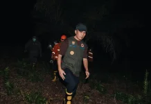 Palembang Antisipasi Asap, Ratu Dewa Usul Sanksi Lahan Terlantar