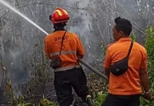Tim Gabungan Muara Enim Padamkan Api Karhutla di Tiga Lokasi Sekaligus