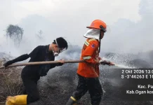 Pemkab OKI Periksa Enam Perusahaan Terkait Karhutla di Areal Konsesi