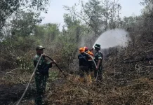 Hotspot Terdeteksi, Koramil Muara Enim Padamkan Karhutla di Karang Raja