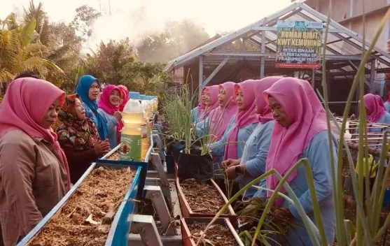 Lahan Tidur, Menjadi Harapan KWT Kemuning Tumbuhkan Kemandirian Pangan