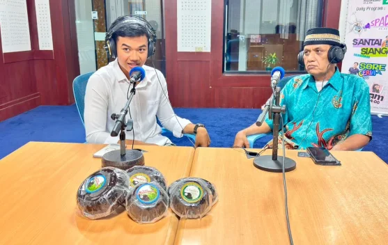 Potensi Bisnis Gula Aren dalam Usia Muda