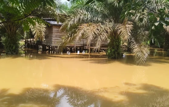 Luapan Dua Sungai Akibatkan Banjir di Kecamatan Bayung Lencir