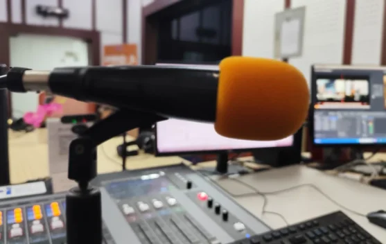 Microphone Condenser Dynamic, Harus Pilih Mana?