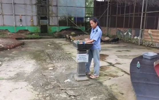 Palembang Bird Park Jadi Pilihan Liburan Keluarga Edukatif
