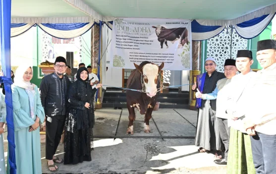 Pemkot Pagar Alam Serahkan Bantuan Sapi Kurban Presiden ke Masyarakat