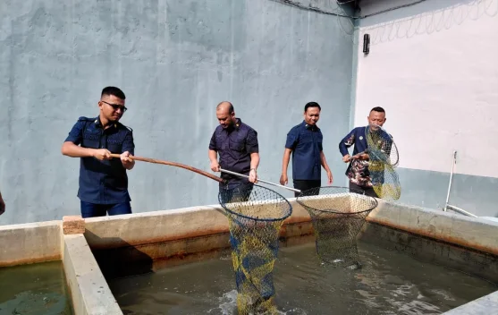 Dukung Program Ketahanan Pangan Nasional, Lapas Sekayu Panen Lele