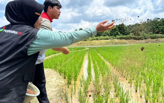 Program Punjangga Angkat Kesejahteraan Petani PALI