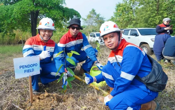 Jaga Jalur Gajah Sumatra, Pertamina EP Zona 4 Tanam Pohon di Musi Rawas