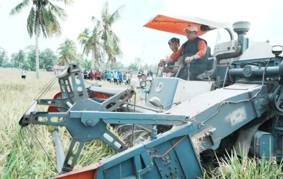 Hadapi Serangan Hama Petani, Bupati Banyuasin Dorong Pola Tanam Serentak