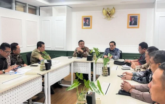 Hadapi Tantangan Fiskal, Pemkab Muba dan Komisi II Datangi Kemenpan RB