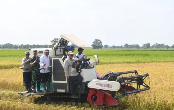 Ketahanan Pangan, Korem 044/Gapo Ikuti Program Gerakan Tanam IP300