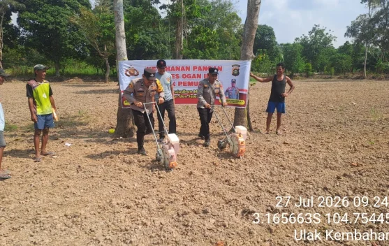 Bersama Polsek Pemulutan, Kelompok Tani Desa Tanam 35 Kilogram Bibit Jagung Pipil