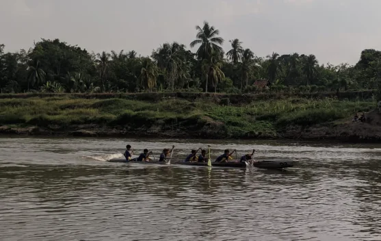 Bidar Kembali Berpacu di Sungai Lematang setelah Delapan Tahun Vakum
