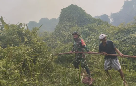 Kebakaran Lahan Kembali Melanda Kota Palembang