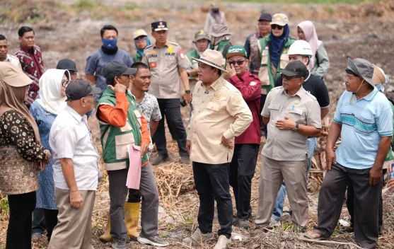 Pemkab Banyuasin Percepat Cetak Sawah Baru untuk Perkuat Produksi Pangan
