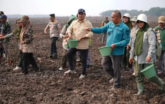 Pemkab Banyuasin Ubah 496 Hektare Lahan Tidur Jadi Lahan Produktif