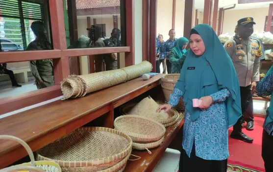 Maksimalkan Anggaran Terbatas, TP PKK OKUT Fokus Beri Manfaat Langsung Keluarga