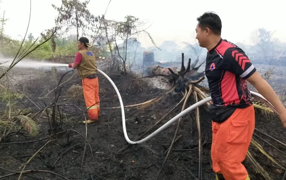 Diduga Dibakar Warga, BPBD Muba Padamkan Enam Hektare Lahan Terbakar