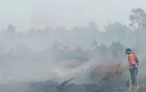 Selama Dua Hari, BPBD Muara Enim Padamkan 10 Hektare Lahan Terbakar di Desa Putak