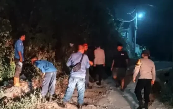 Karhutla di Belakang Perumahan Tubagus 2 OKU Berhasil Dipadamkan