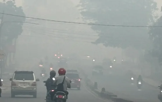 Kabut Asap Membahayakan, Kegiatan Gubernur Sumsel Keluar Kota Dinilai Tak Pantas