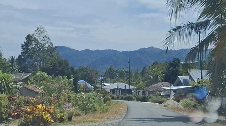 Nuansa Kampung Sejuk, Obat Rindu Masa Kecil