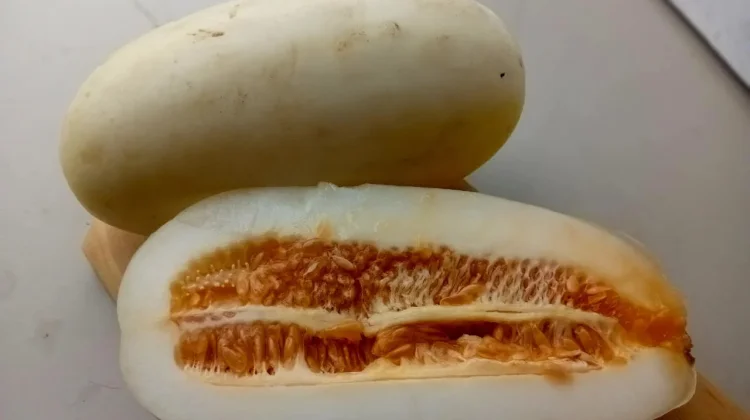 Timun Suri, Campuran Menyegarkan dalam Es Buah