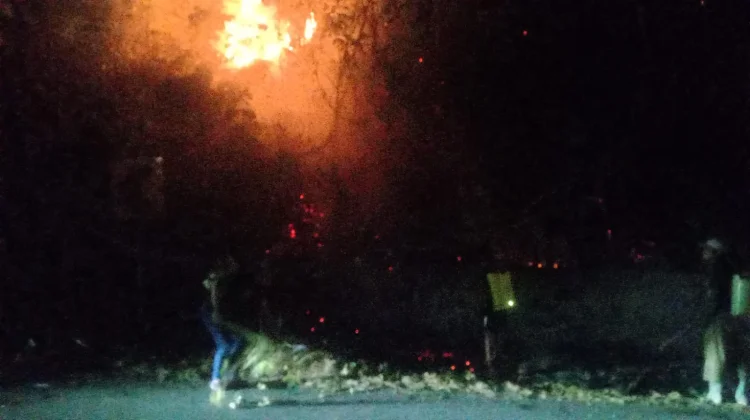Kebakaran Lahan di Jalur Trans Sulawesi Kasimbar Berhasil di Kendalikan