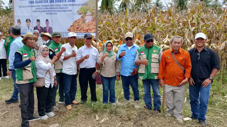 Panen Raya Jagung Dorong Donggala Sejahtera Berdaya