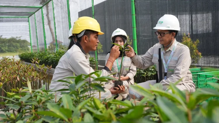 Kuatkan Kolaborasi Industri–Akademisi, IMIP Fasilitasi Magang Dosen