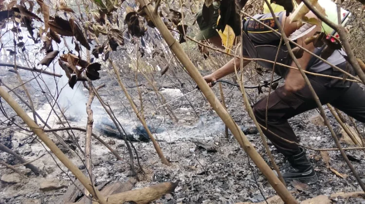 Kebakaran Hutan dan Lahan Kembali Terjadi di Parigi Moutong