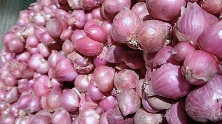 Harga Bawang Merah di Kota Palu Kembali Stabil