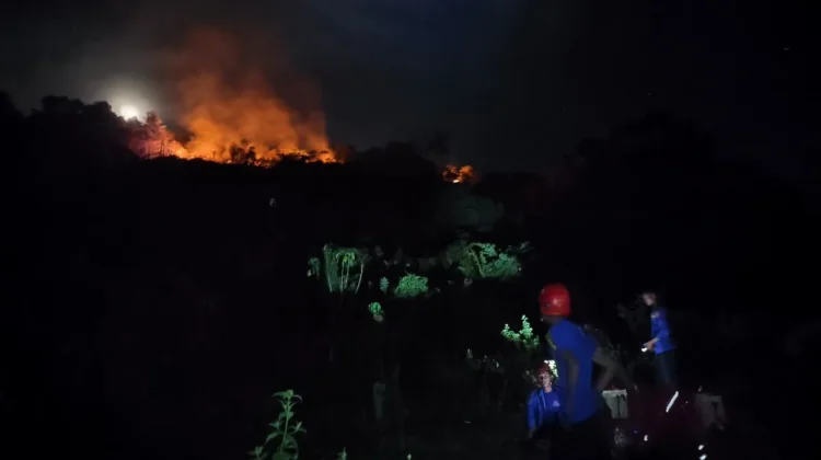 Lahan 5 Hektare di Puncak Sanjubi Parimo Terbakar