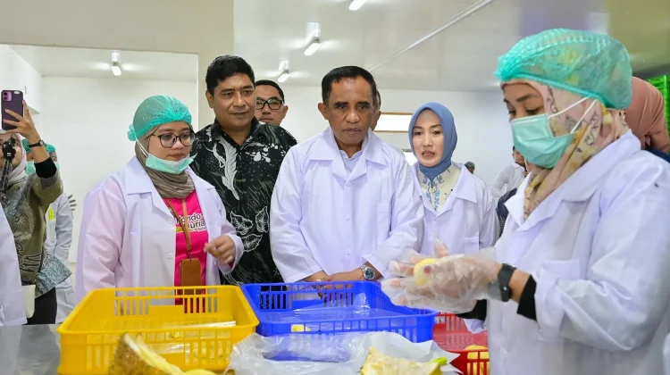 Gubernur Sulteng Anwar Hafid Dukung Hilirisasi Komoditas Durian Expor ke Cina