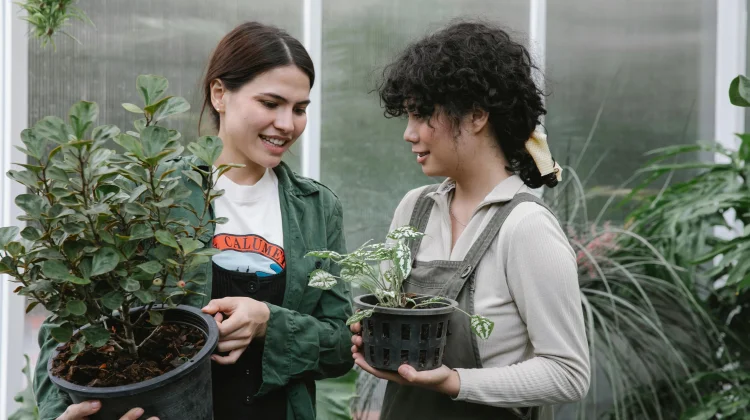 Hobi Berkebun Makin Populer, Ini Manfaatnya