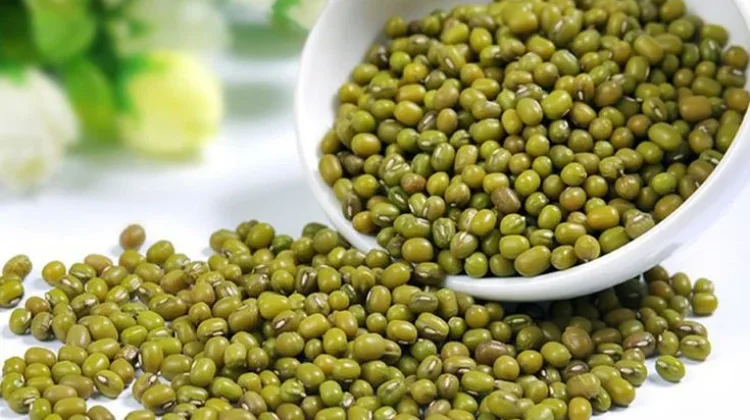 Manfaat Kacang Hijau untuk Ibu Hamil