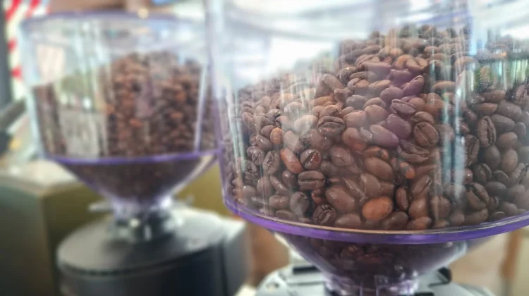 Biji Kopi, Dari Kebun hingga Jadi Minuman Favorit