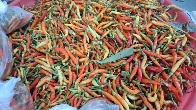 Harga Cabai dikota Palu Melambung Tinggi