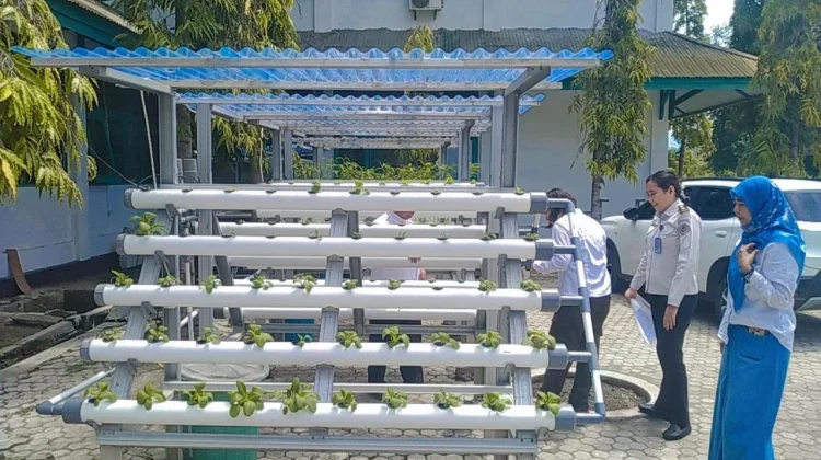 Dinas Pertanian Palu Dorong Kemandirian Anak Binaan lewat Hidroponik