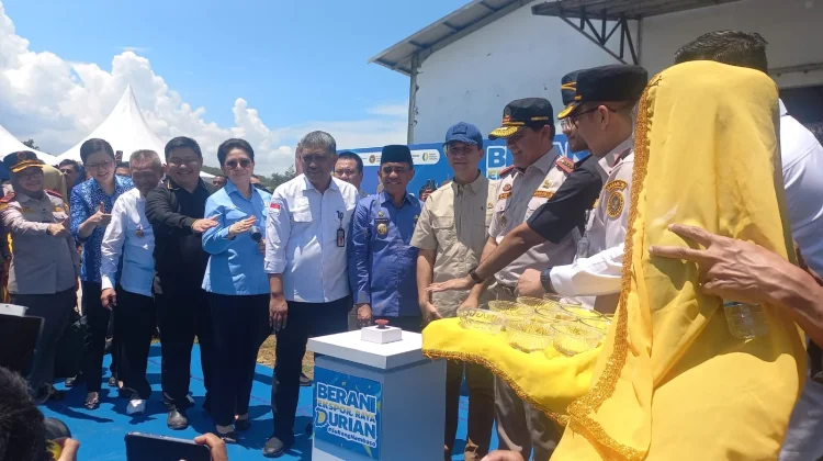 Punya Potensi Ekonomi Besar, Komisi IV DPR-RI Kawal Keberlanjutan Ekspor Durian