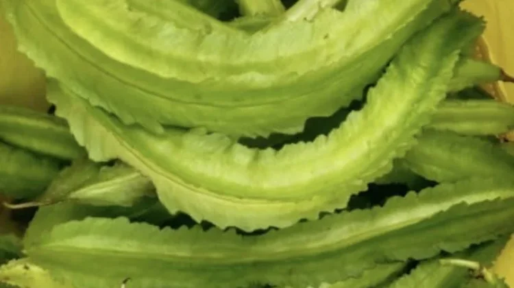 Sayur Kecipir Mulai Langka di Pasar Tradisional  Palu