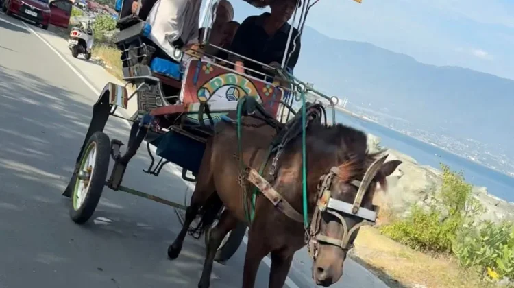 Andong di Pesisir Palu Tetap Bertahan
