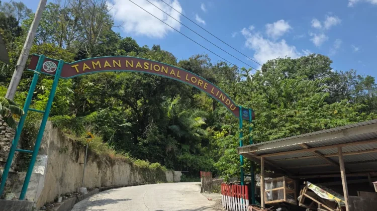 Menyapa Alam Liar di Taman Nasional Lore Lindu, Jauh dari Hiruk Pikuk Kota
