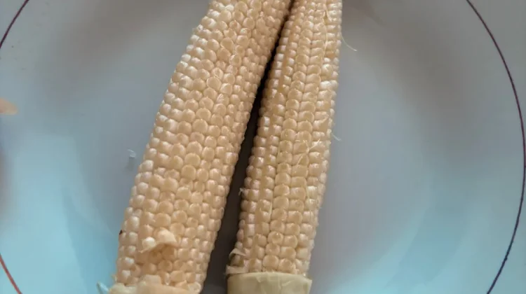 Jagung Muda, Kecil namun Bergizi
