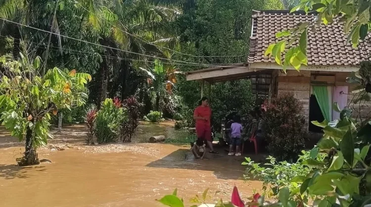 Jembatan Dusun VI Putus dan 28 KK di Bukit Makmur Terdampak Banjir