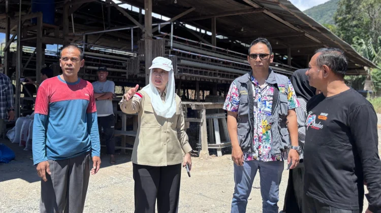 Tinjau Sentra Ayam Petelur, Wawali Palu Fokus Penataan Tata Ruang