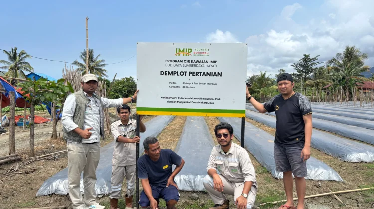CSR IMIP Dorong Kemandirian Petani, Perkuat Ekonomi Lokal Morowali
