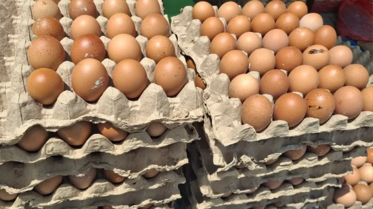 Harga Telur Ayam  di Kota Palu Masih Normal